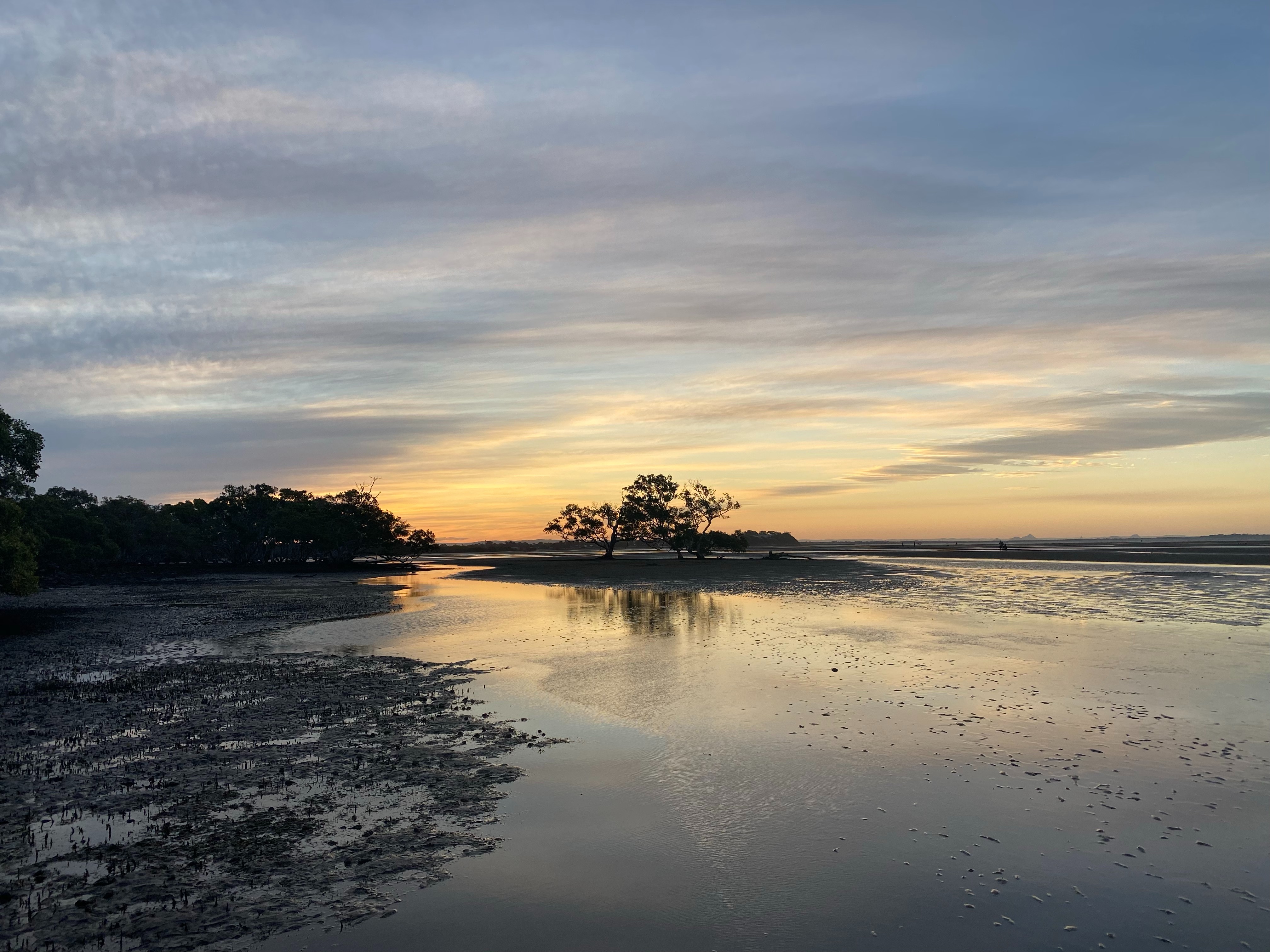  布里斯本景點 Nudgee Beach 