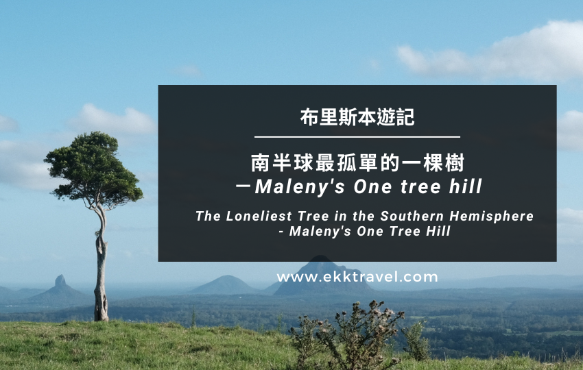 You are currently viewing 布里斯本景點｜熱門攝影景點：南半球最孤單的一棵樹－Maleny’s One tree hill