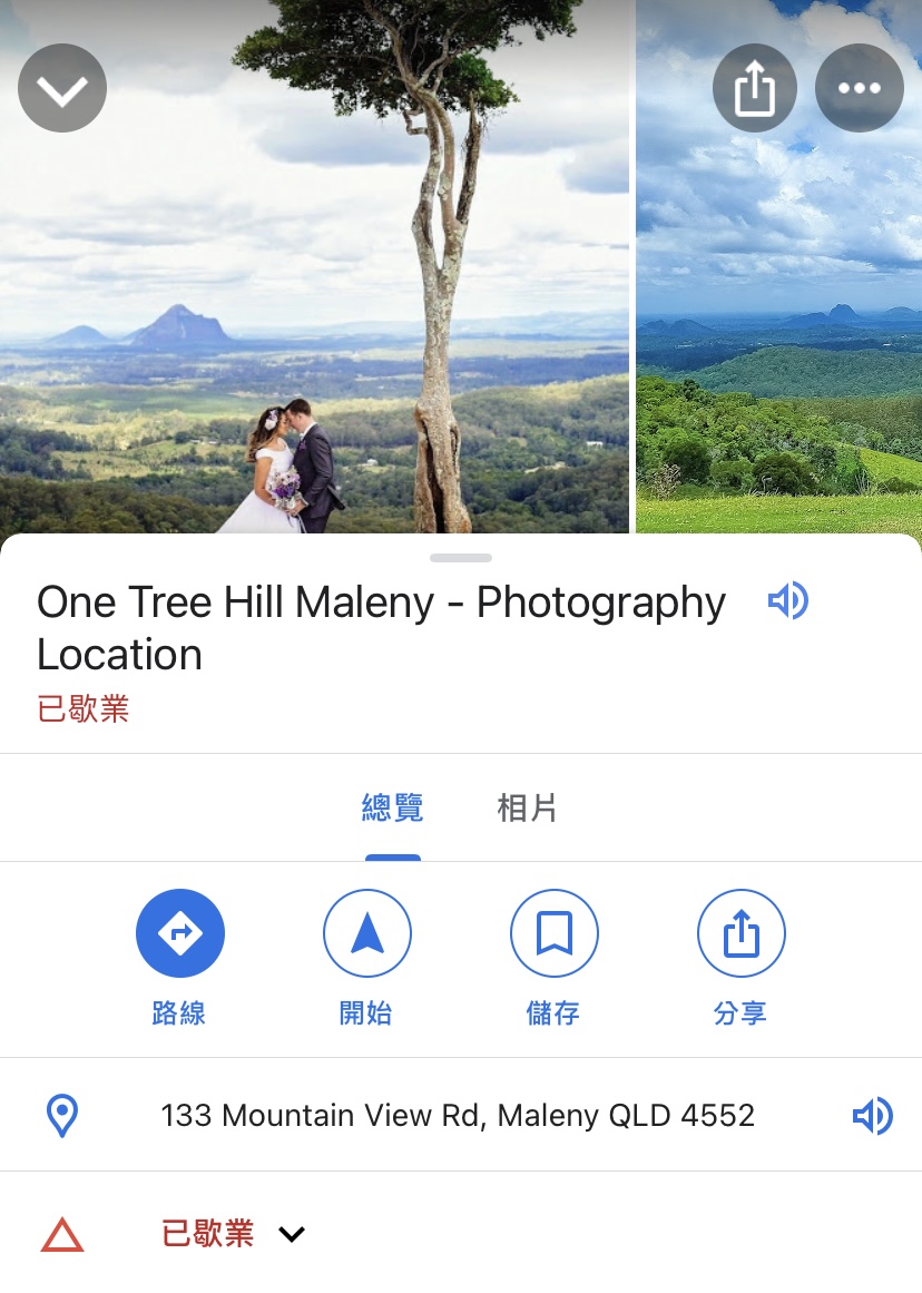 布里斯本景點 南半球最孤單的一棵樹－Maleny's One tree hill