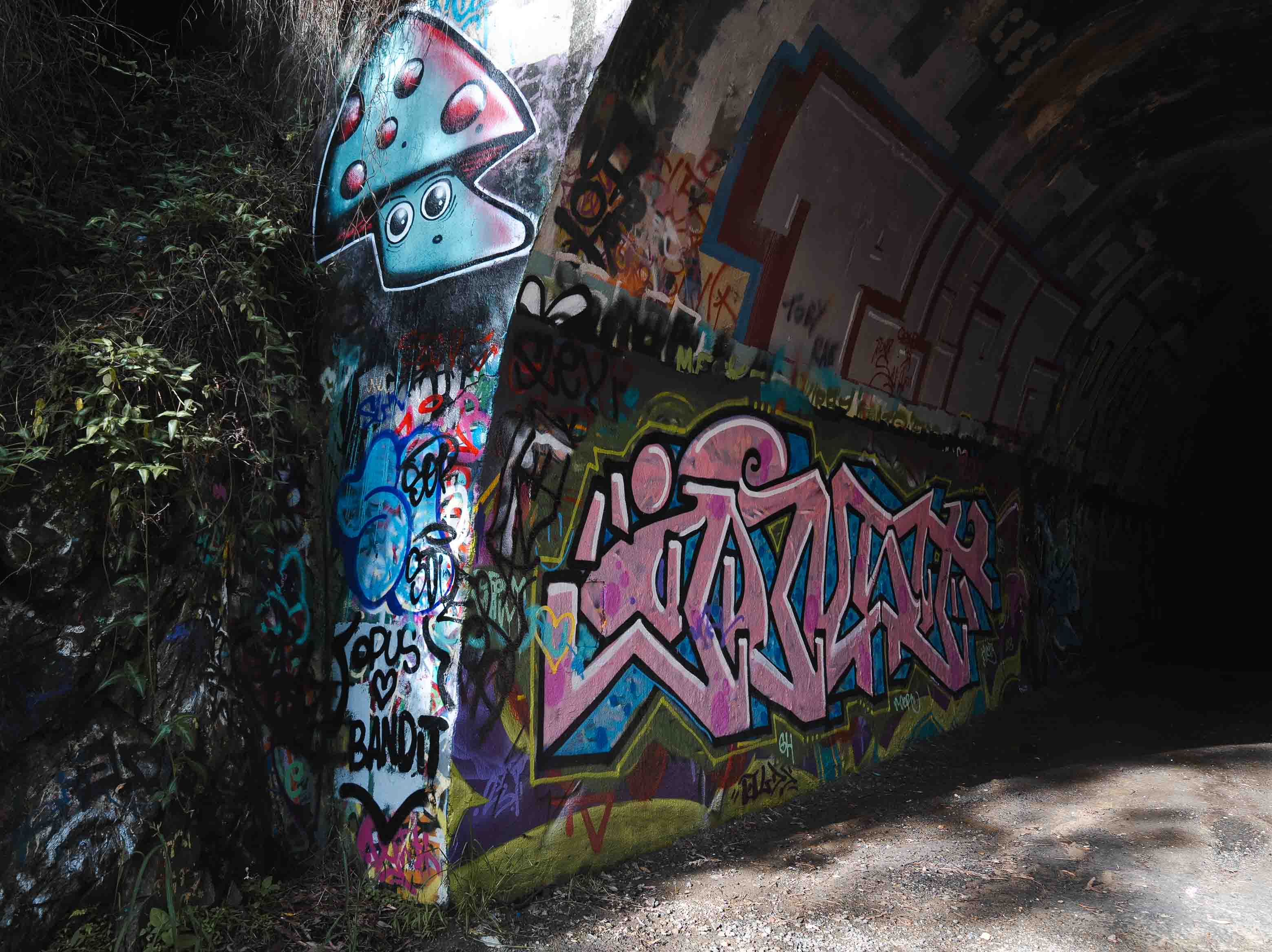 The artistic graffiti on the wall surface in Ernest Junction Railway Tunnel