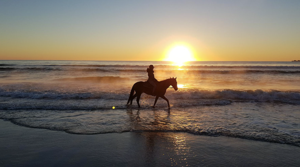 Riding a horse on the sea at sunset.Photo from ZEPHYR HORSES BYRON BAY.