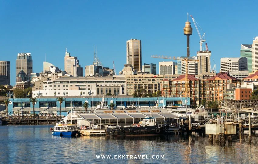 雪梨景點｜探訪南半球最壯觀 雪梨魚市場 ，品嚐澳洲海鮮盛宴－Sydney Fish Market